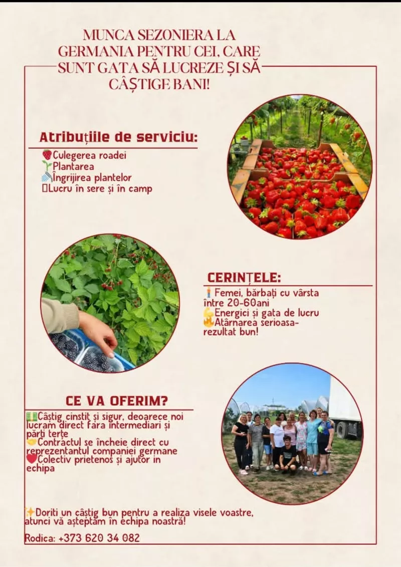 Muncă sezonieră în Germania pentru/Сезонная работа в Германии 2